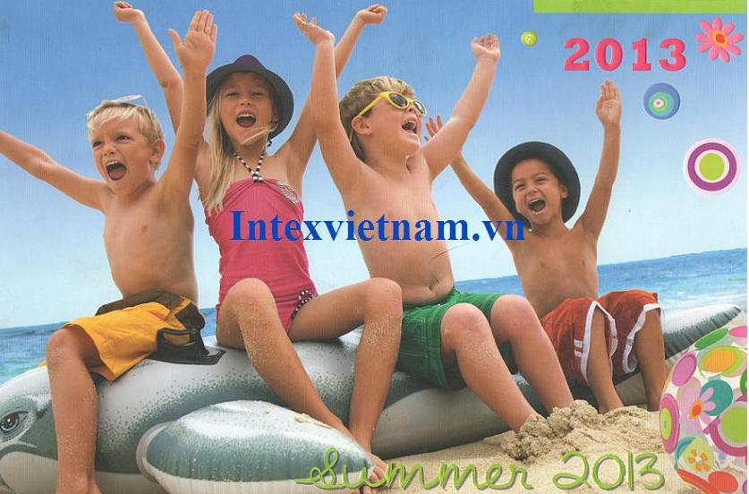 Intex vietnam 1